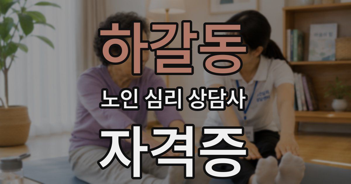 하갈동 노인 심리 상담사 자격증