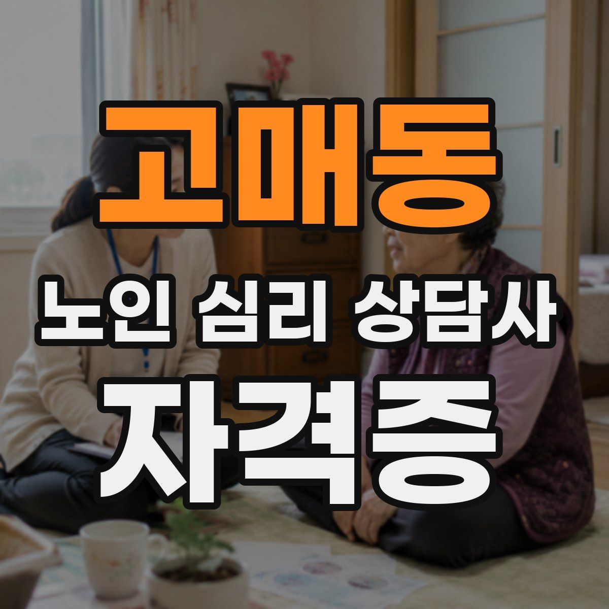 고매동 노인 심리 상담사 자격증