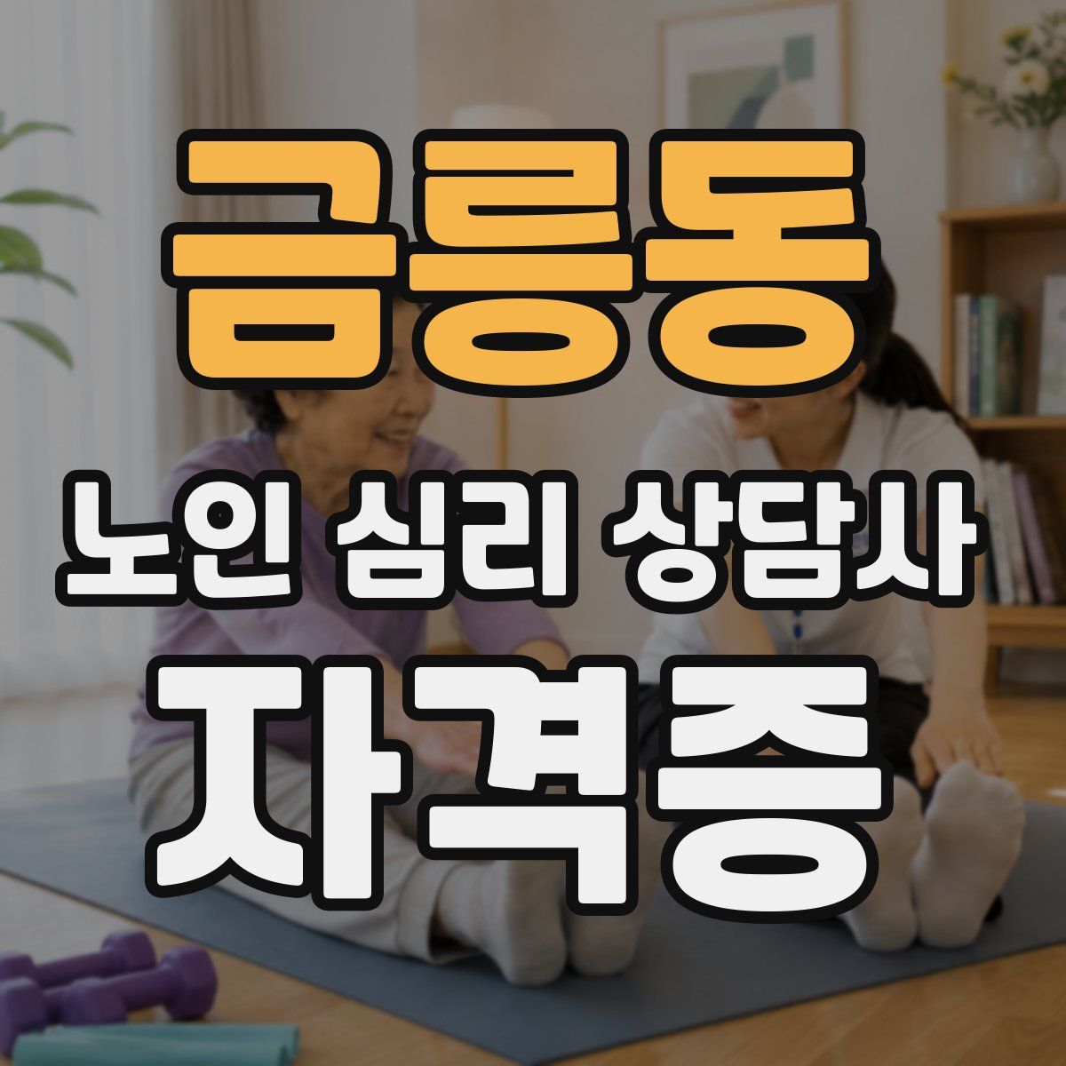 금릉동 노인 심리 상담사 자격증
