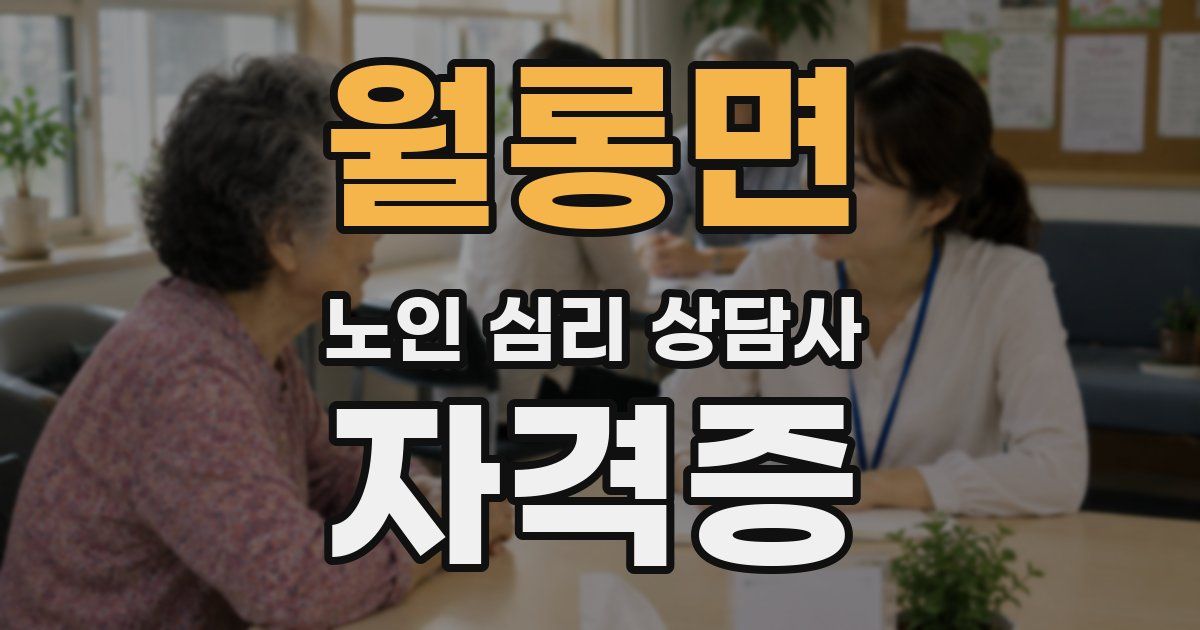 월롱면 노인 심리 상담사 자격증