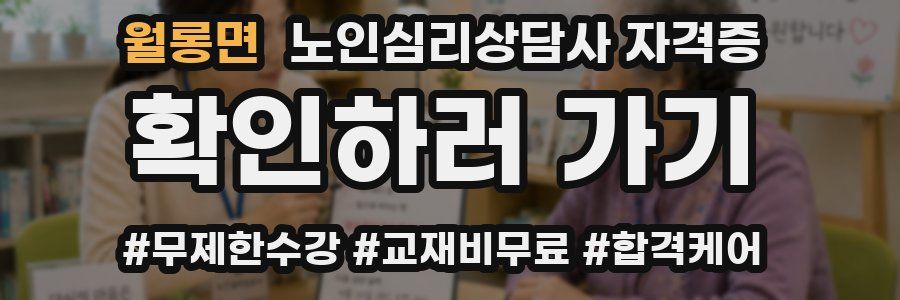 월롱면 노인 심리 상담사 자격증