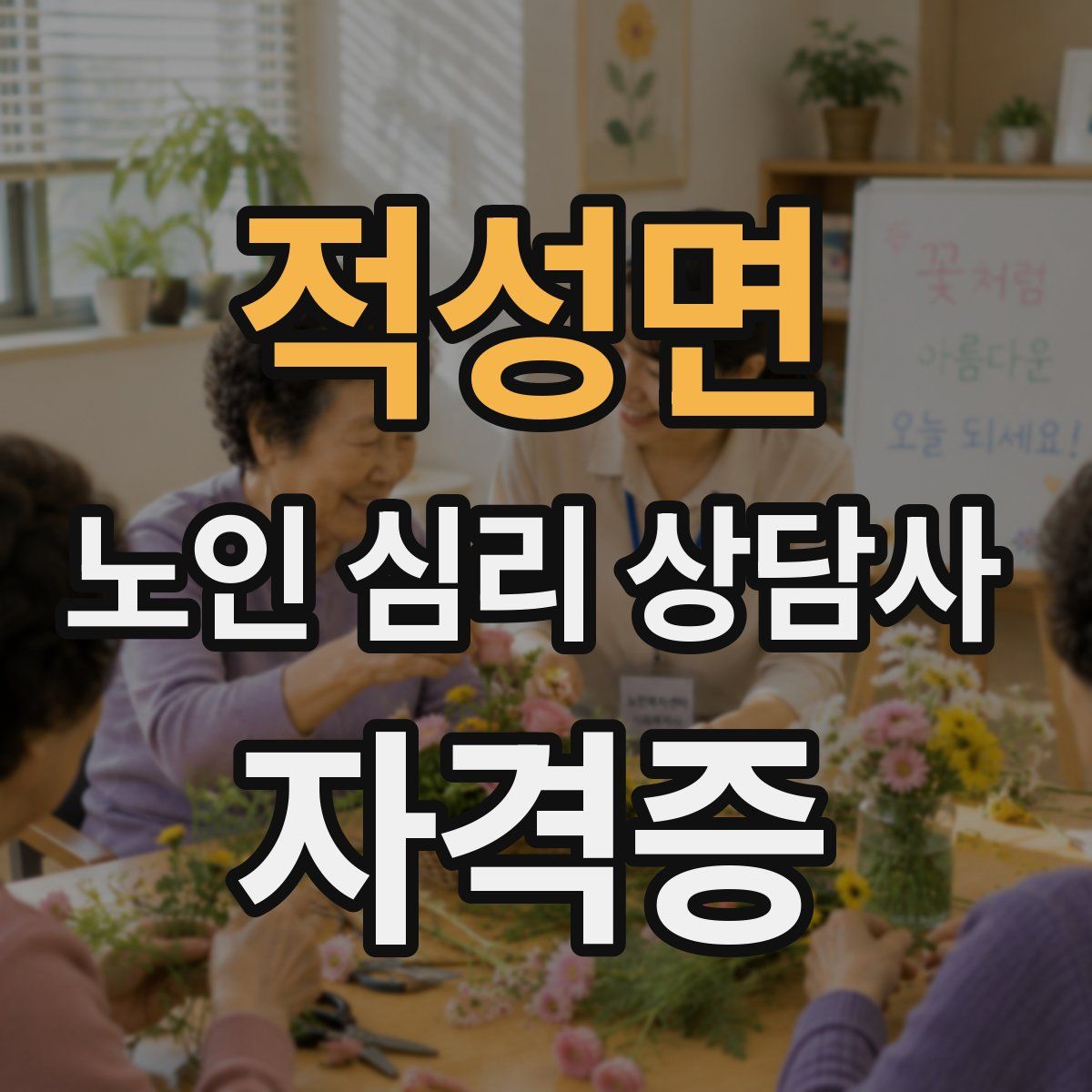 적성면 노인 심리 상담사 자격증