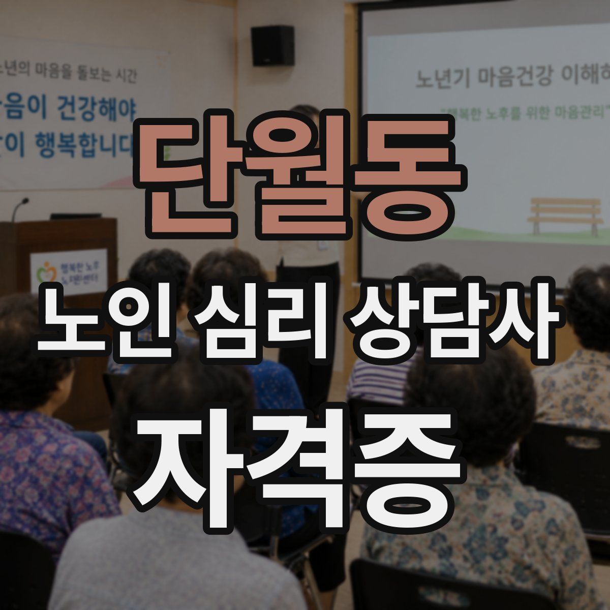 단월동 노인 심리 상담사 자격증