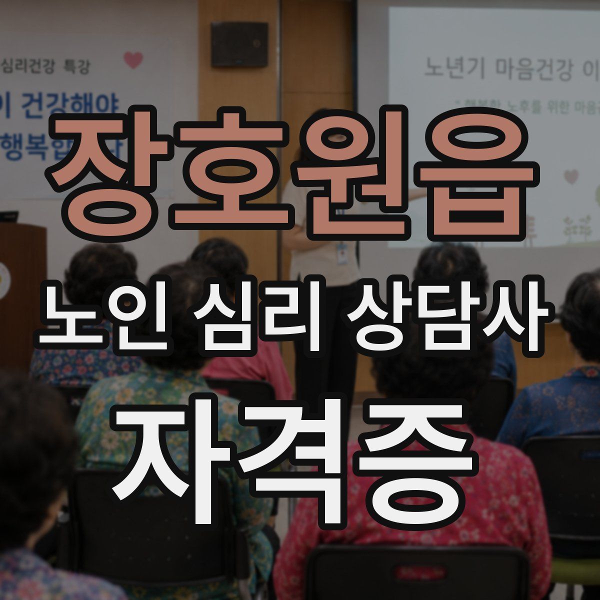 장호원읍 노인 심리 상담사 자격증