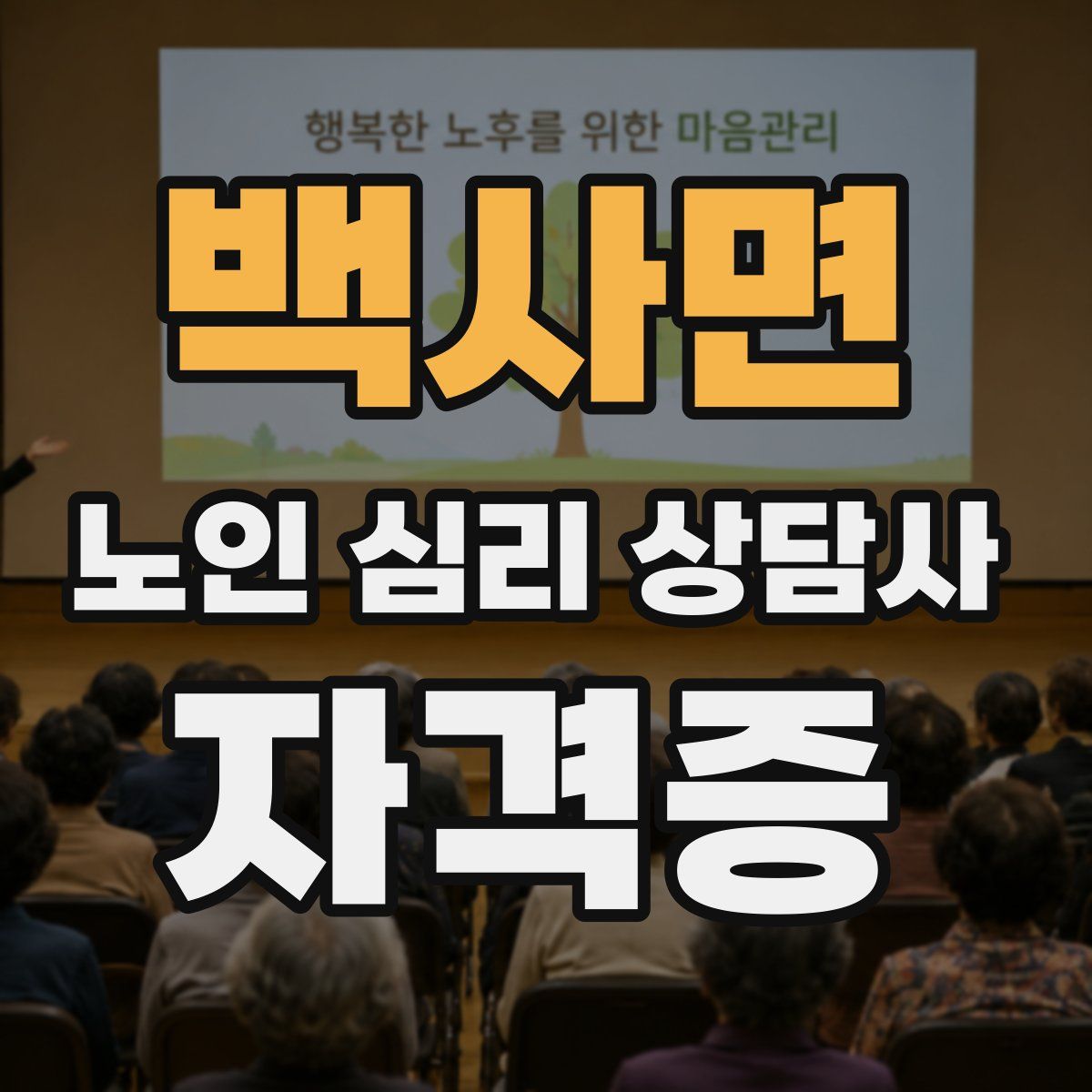 백사면 노인 심리 상담사 자격증