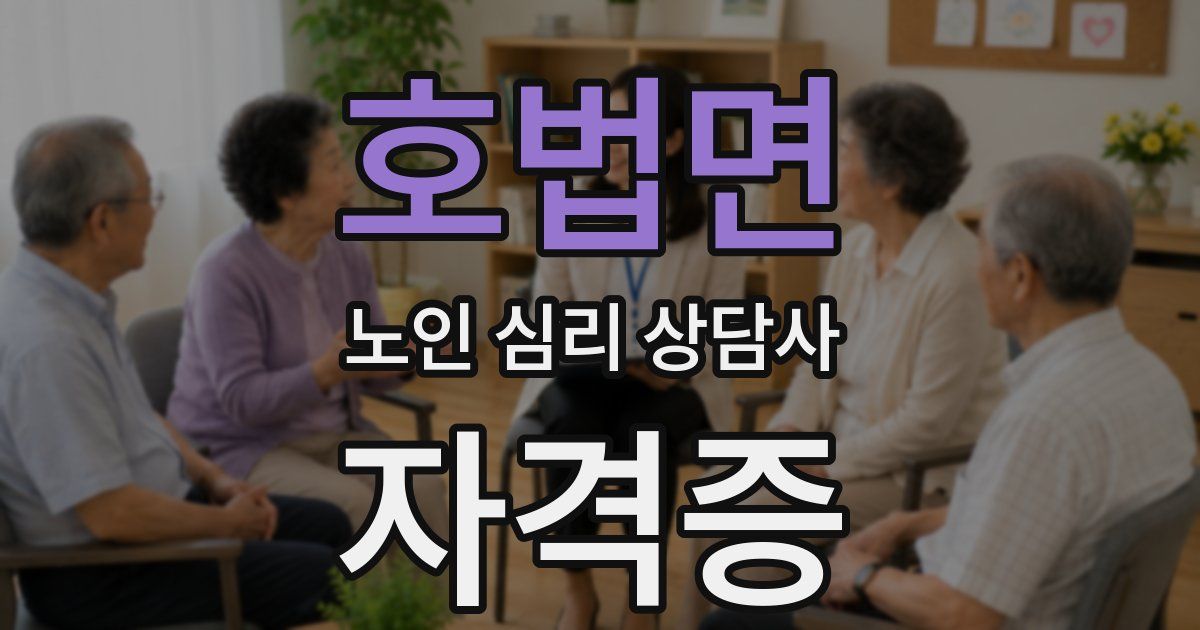 호법면 노인 심리 상담사 자격증