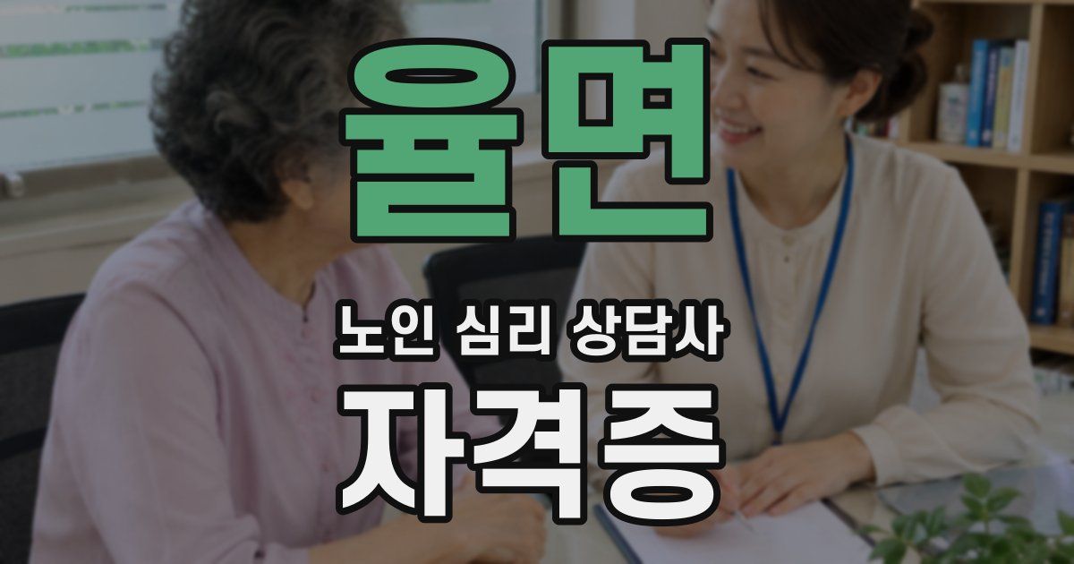 율면 노인 심리 상담사 자격증