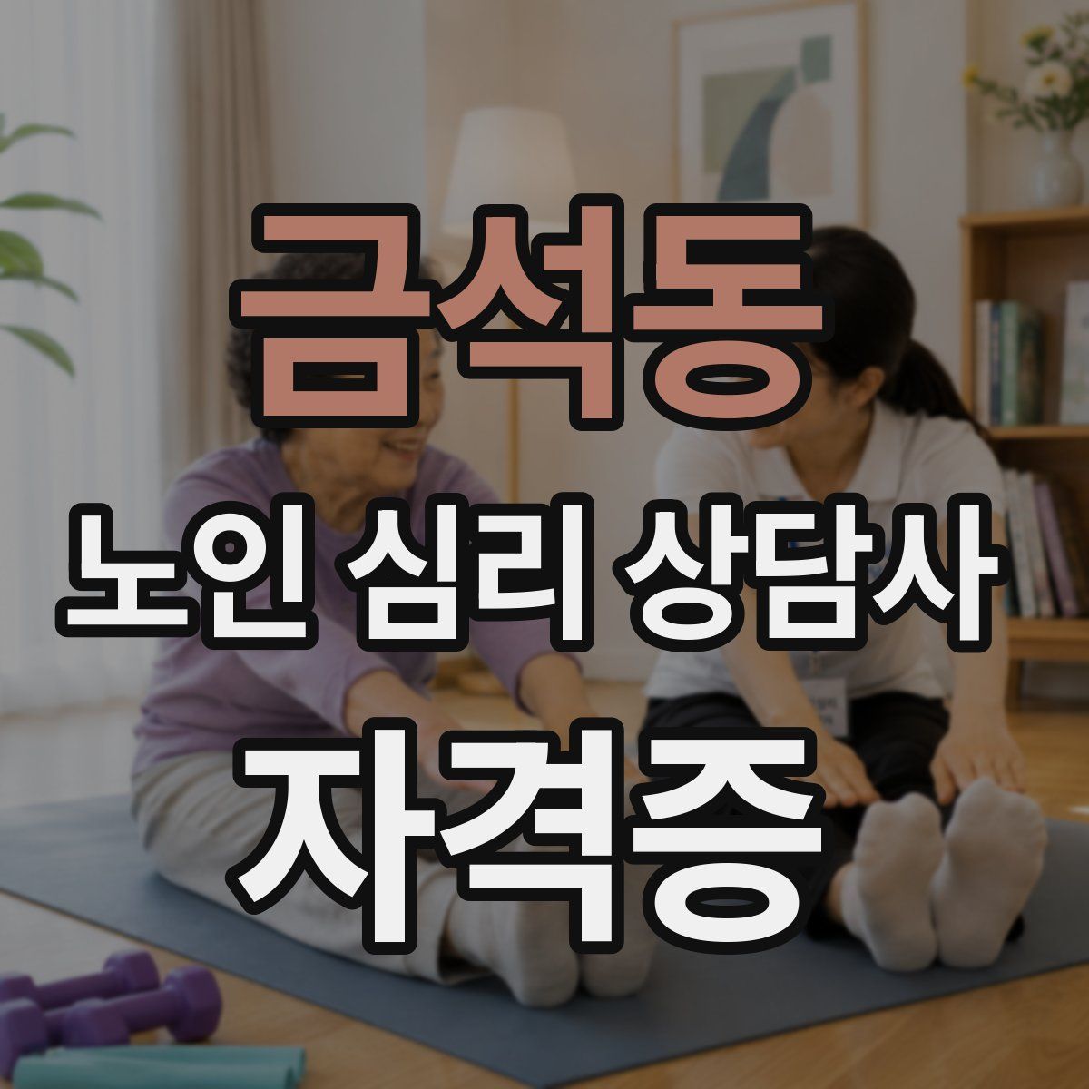 금석동 노인 심리 상담사 자격증