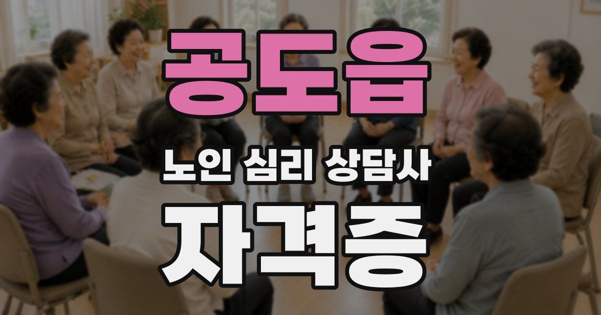 공도읍 노인 심리 상담사 자격증