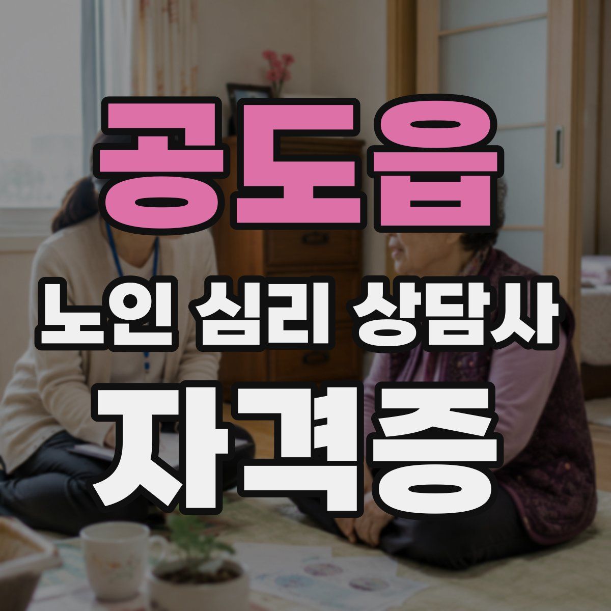 공도읍 노인 심리 상담사 자격증