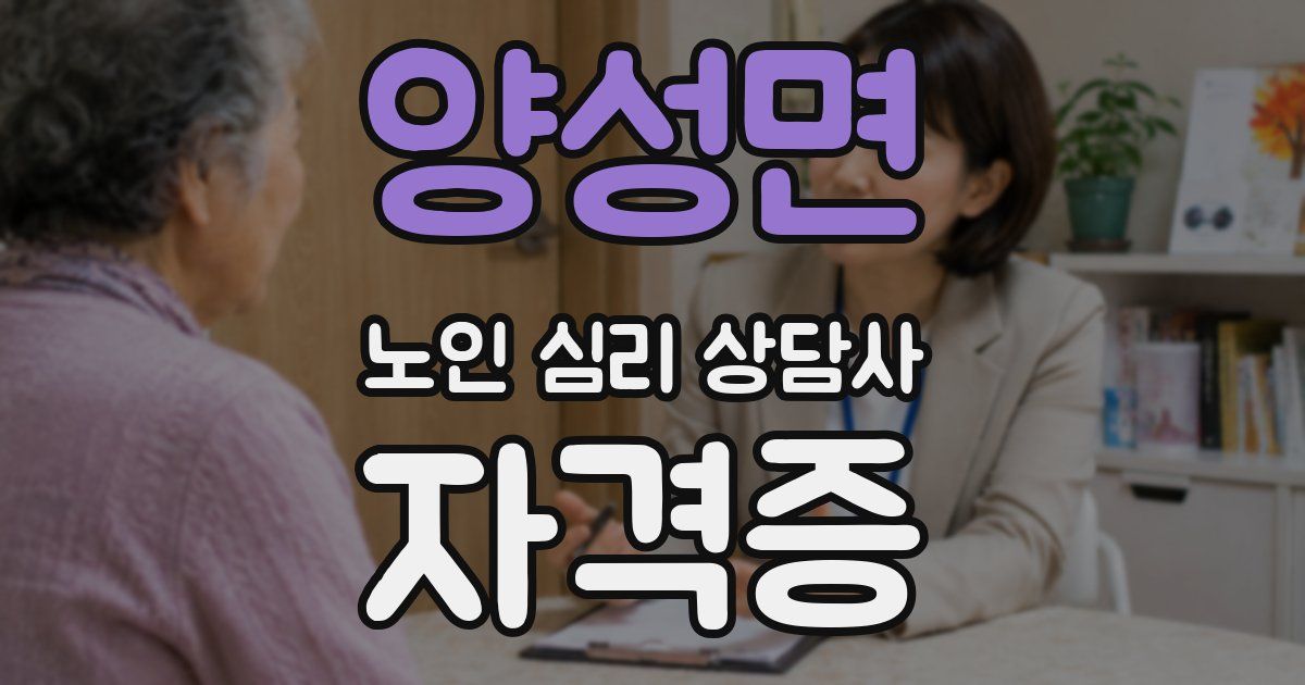 양성면 노인 심리 상담사 자격증