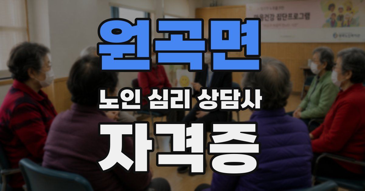 원곡면 노인 심리 상담사 자격증
