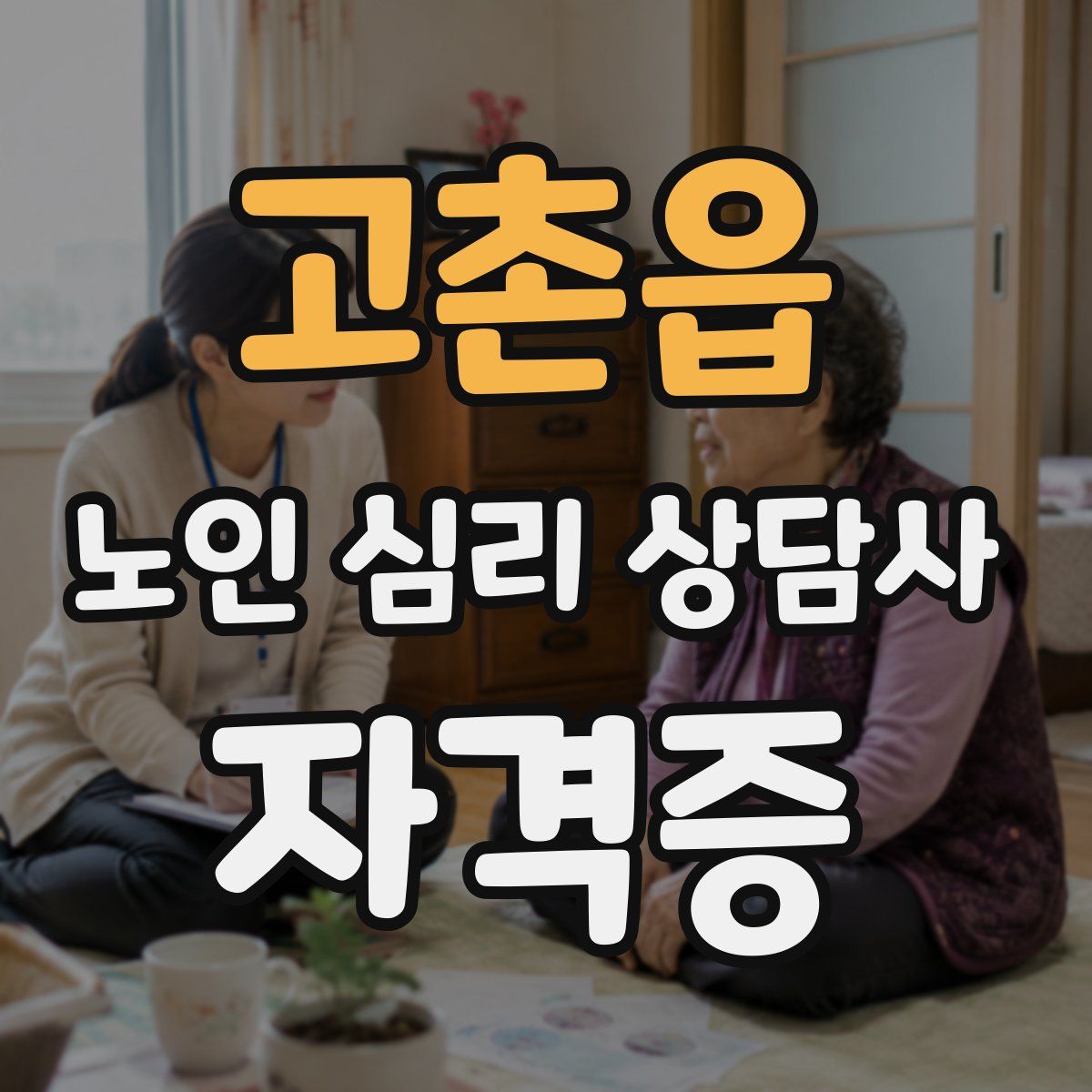 고촌읍 노인 심리 상담사 자격증