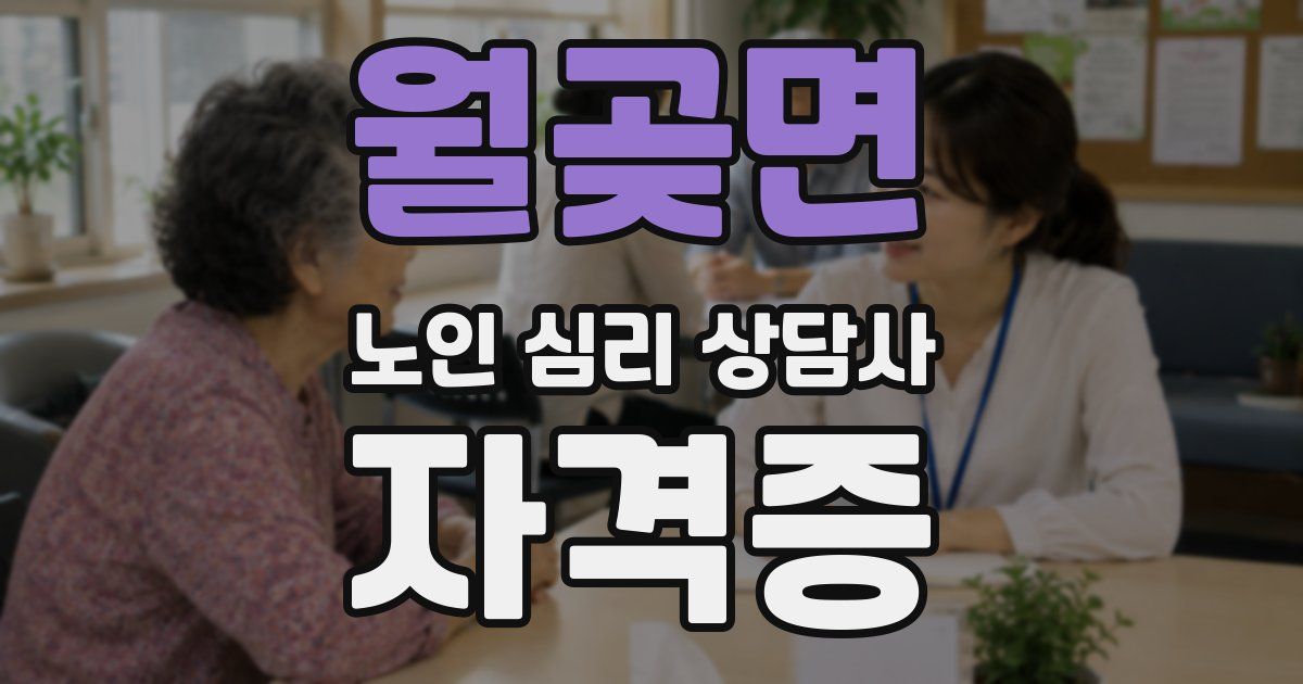 월곶면 노인 심리 상담사 자격증