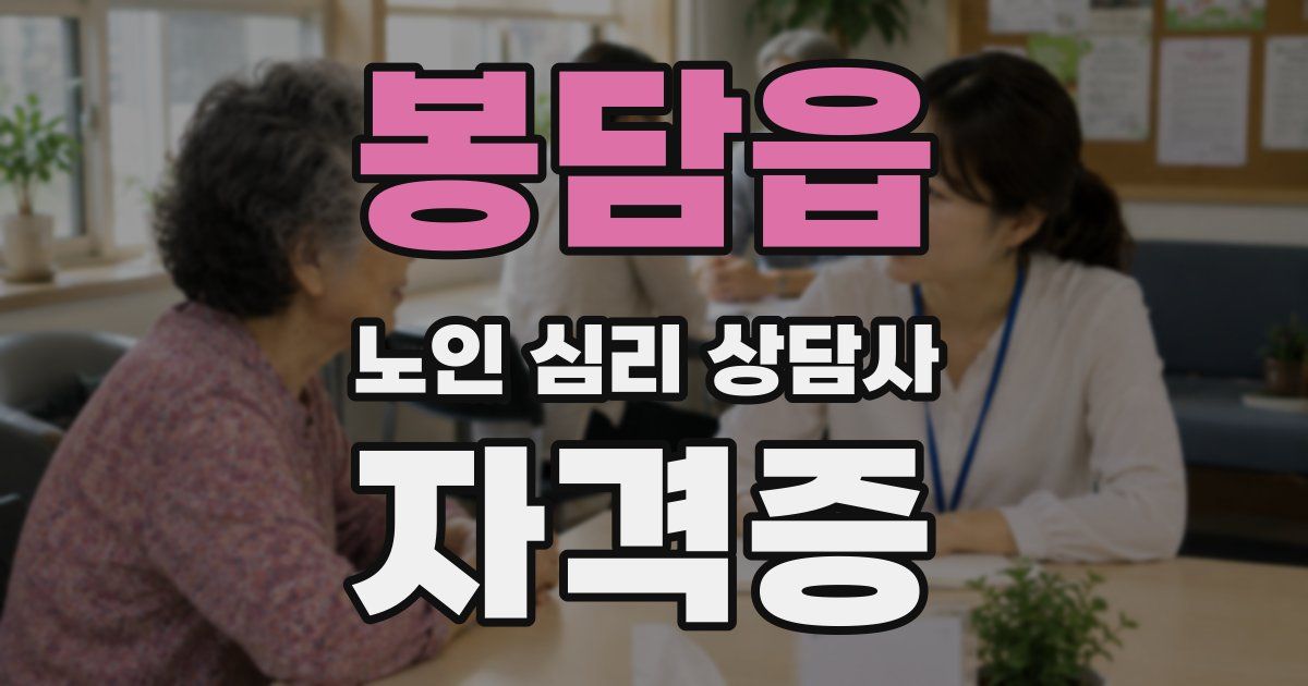 봉담읍 노인 심리 상담사 자격증