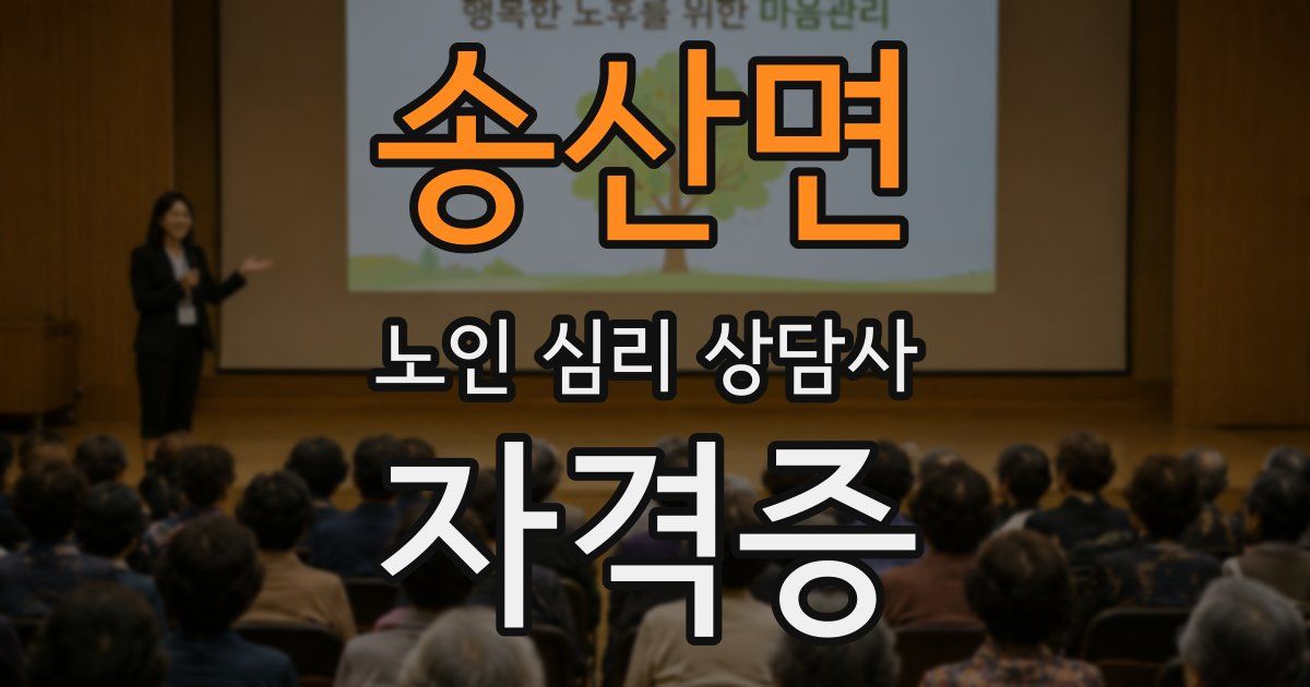송산면 노인 심리 상담사 자격증