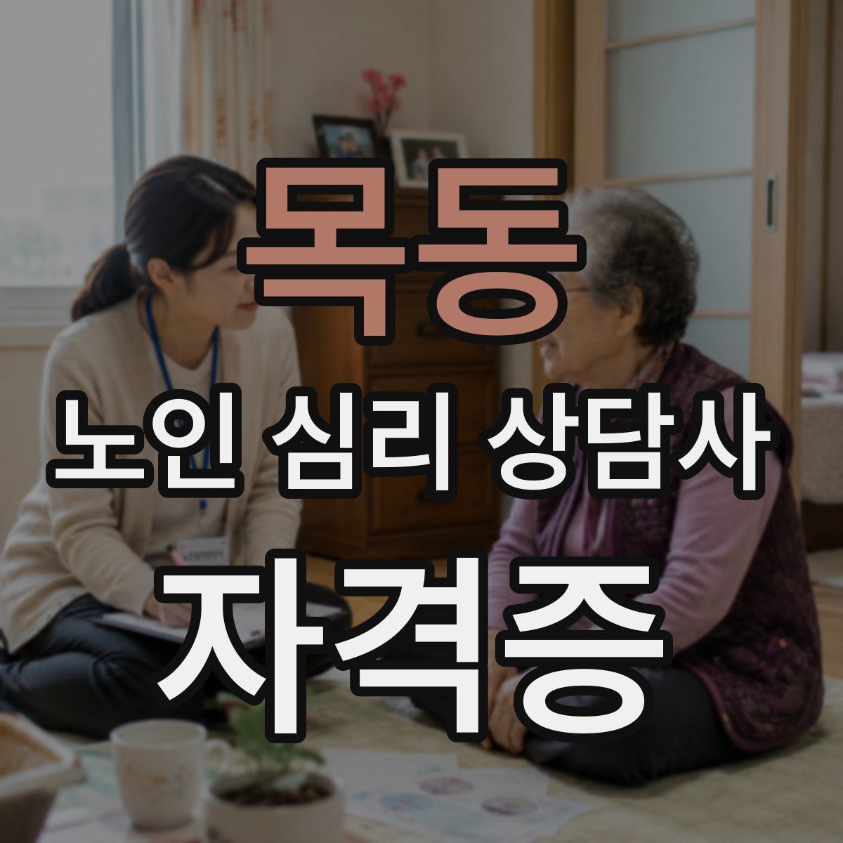 목동 노인 심리 상담사 자격증