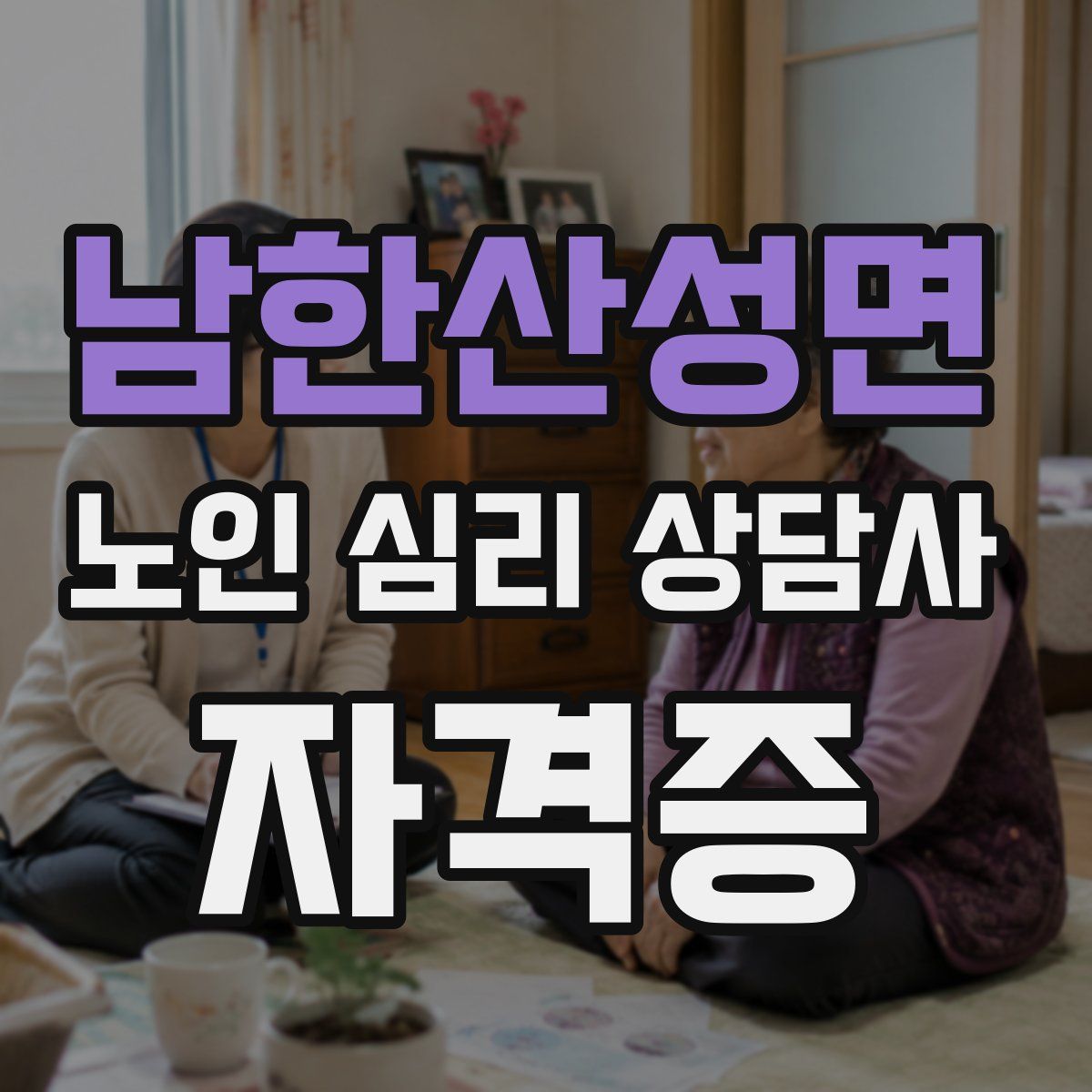 남한산성면 노인 심리 상담사 자격증
