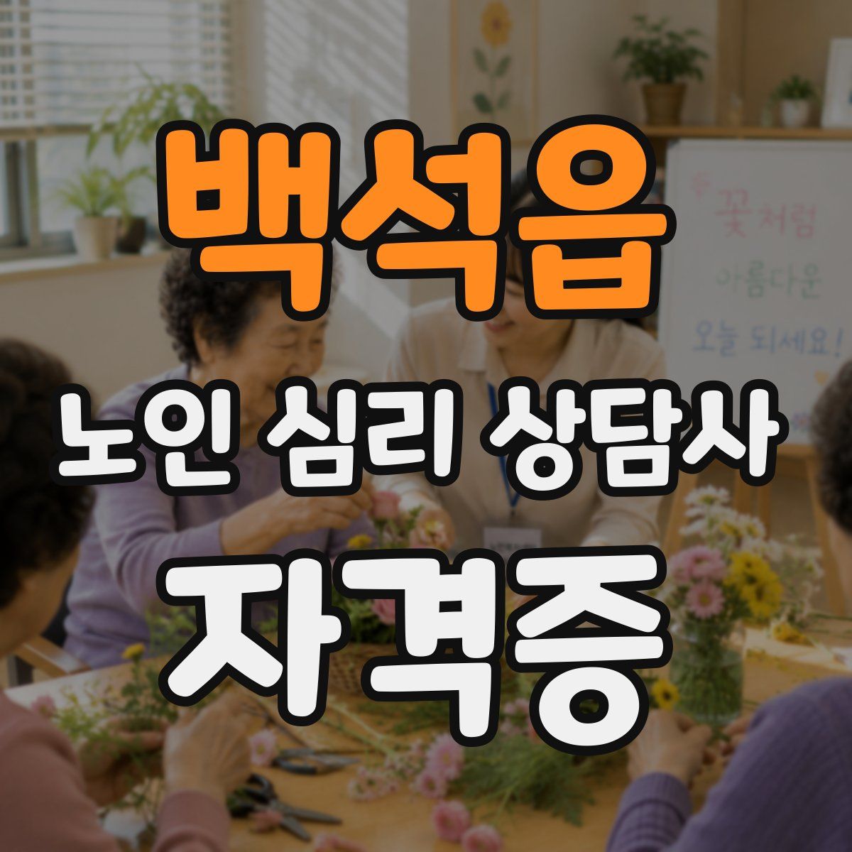 백석읍 노인 심리 상담사 자격증