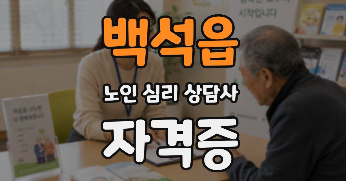 백석읍 노인 심리 상담사 자격증