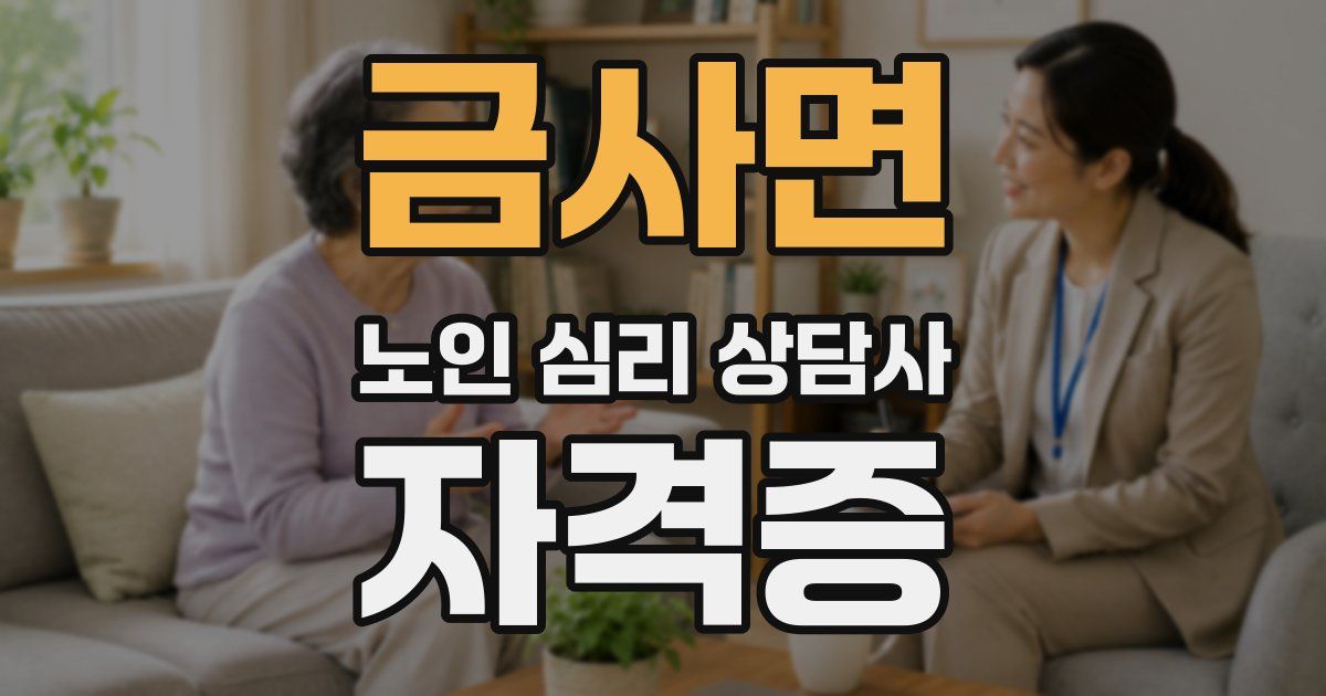 금사면 노인 심리 상담사 자격증