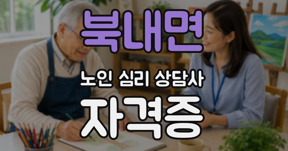 북내면 노인 심리 상담사 자격증