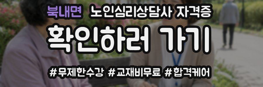 북내면 노인 심리 상담사 자격증