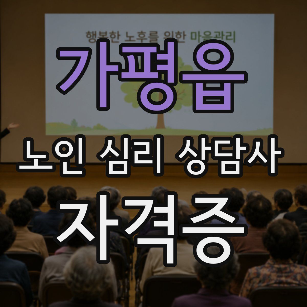 가평읍 노인 심리 상담사 자격증