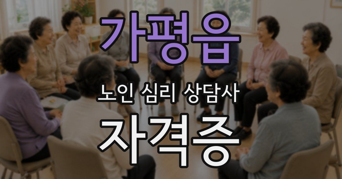 가평읍 노인 심리 상담사 자격증