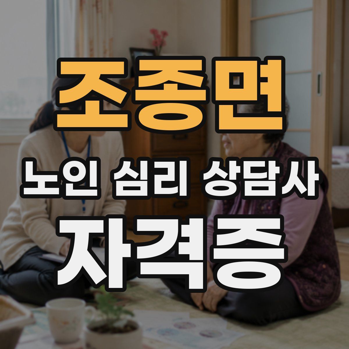 조종면 노인 심리 상담사 자격증