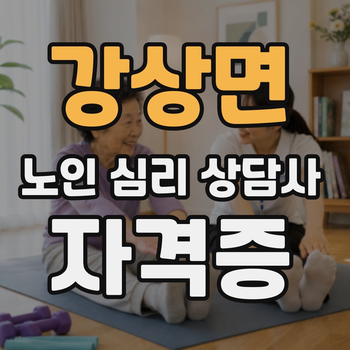 강상면 노인 심리 상담사 자격증