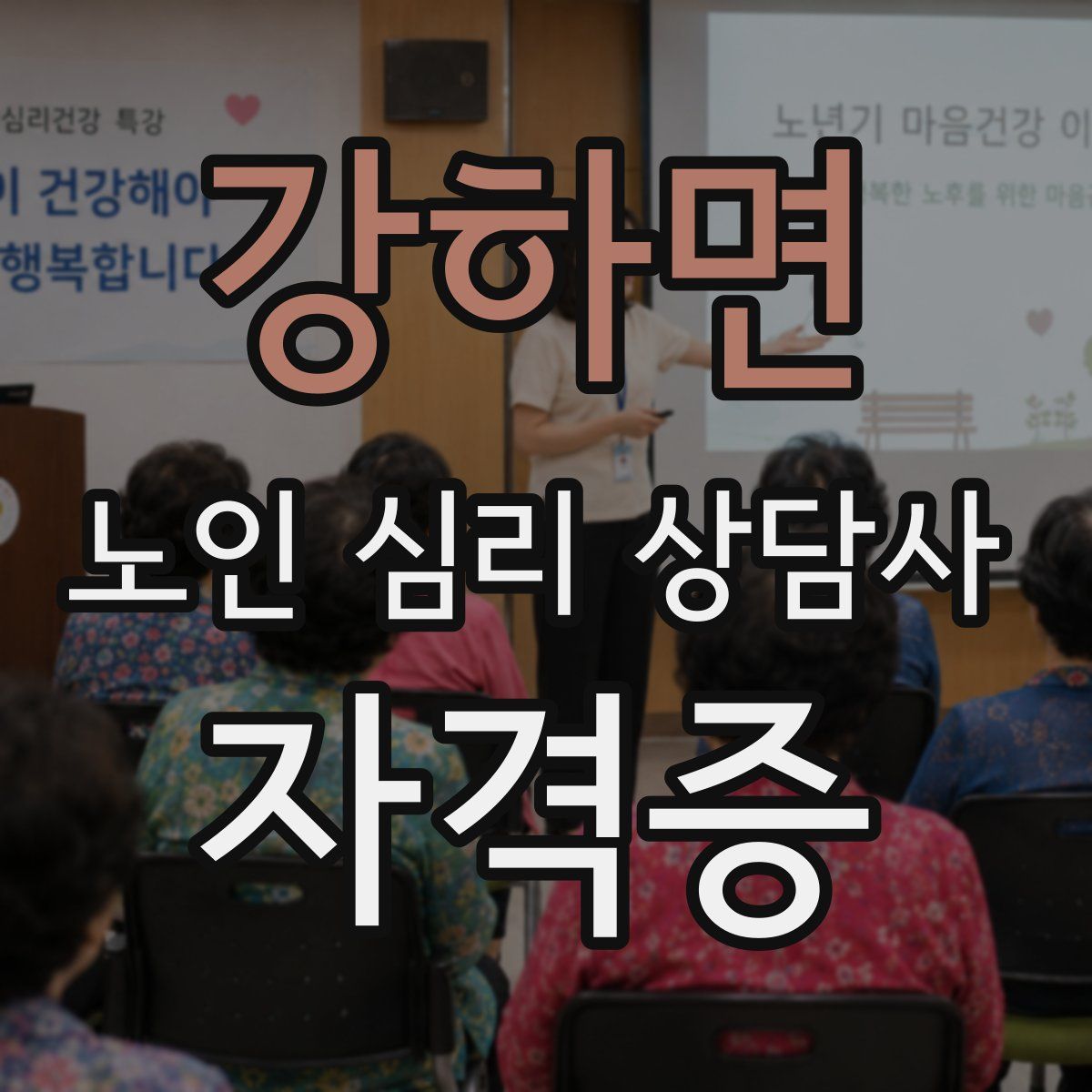 강하면 노인 심리 상담사 자격증