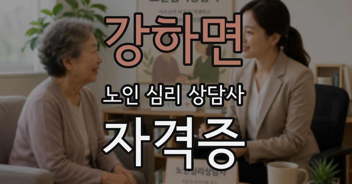 강하면 노인 심리 상담사 자격증