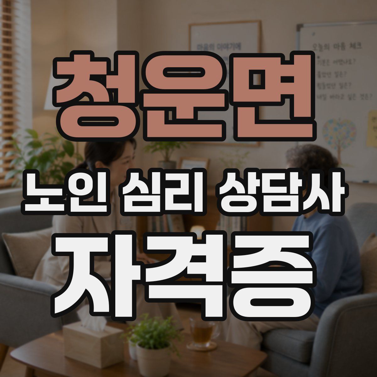 청운면 노인 심리 상담사 자격증