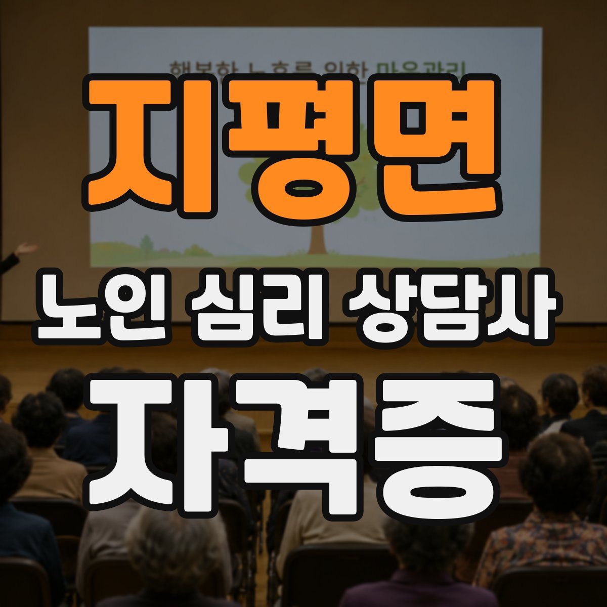 지평면 노인 심리 상담사 자격증