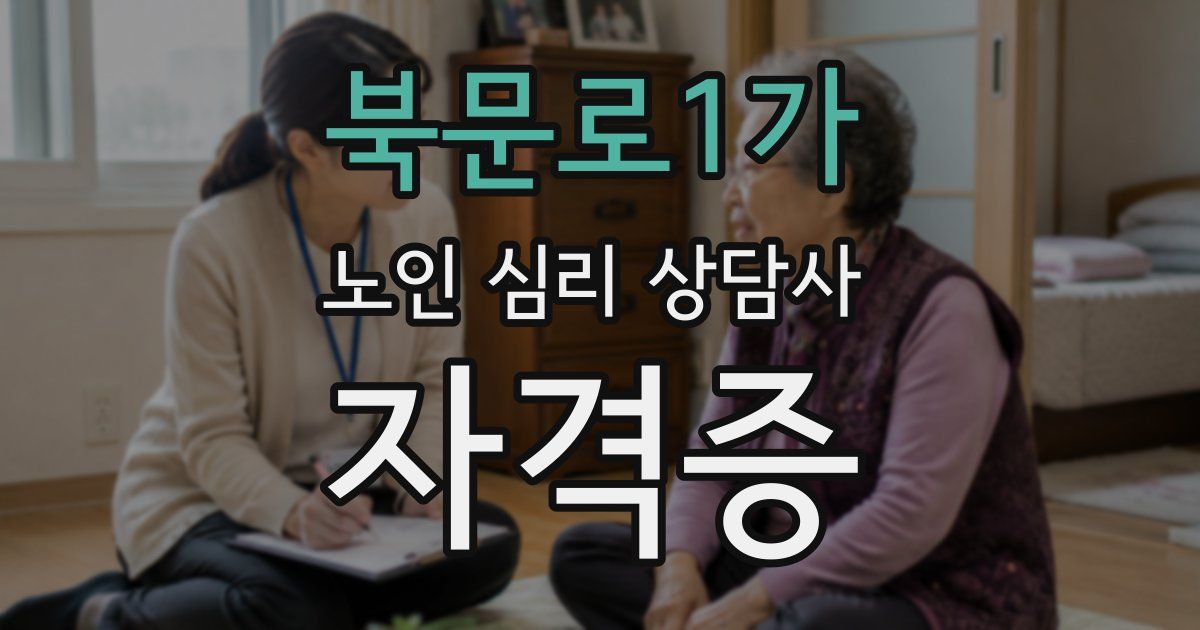 북문로1가 노인 심리 상담사 자격증