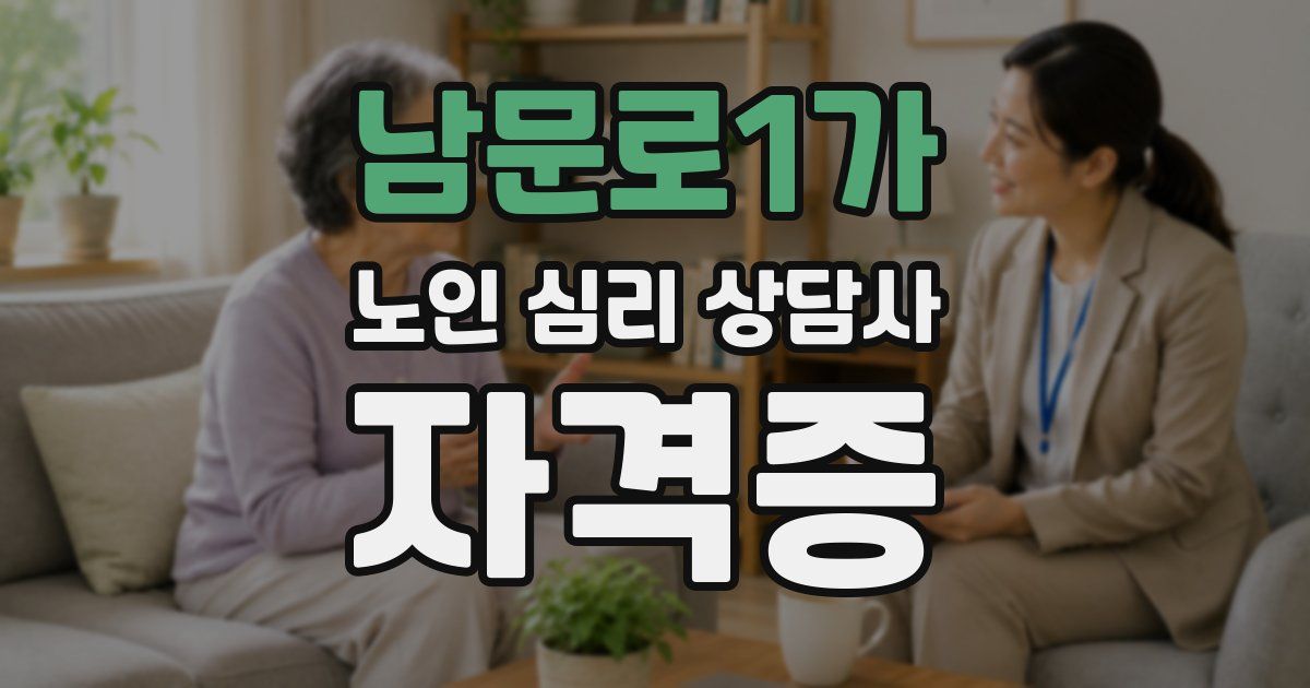 남문로1가 노인 심리 상담사 자격증