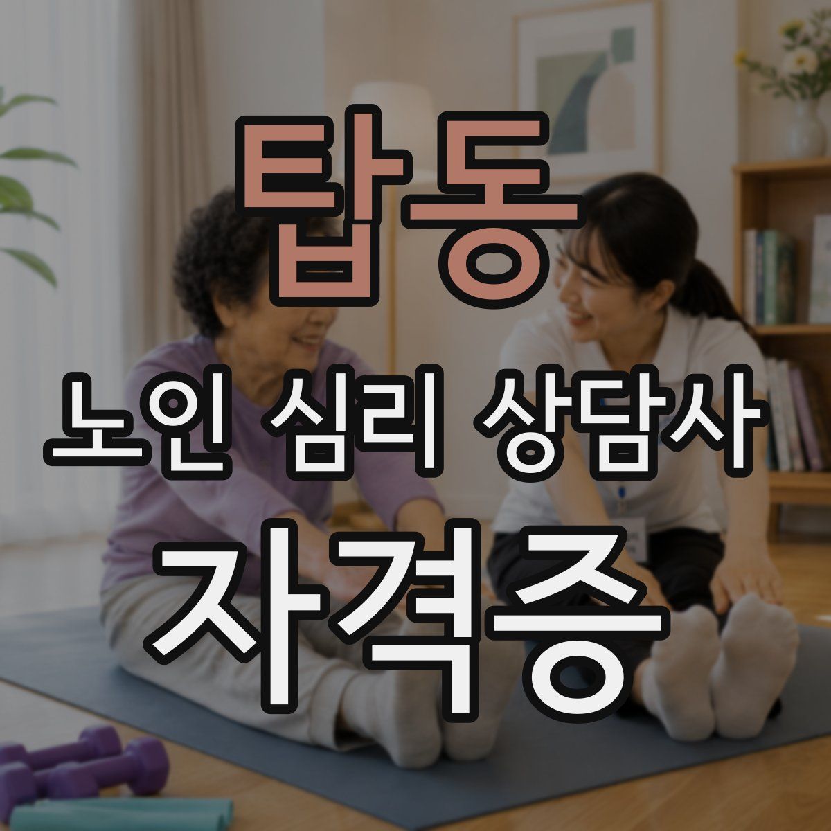 탑동 노인 심리 상담사 자격증