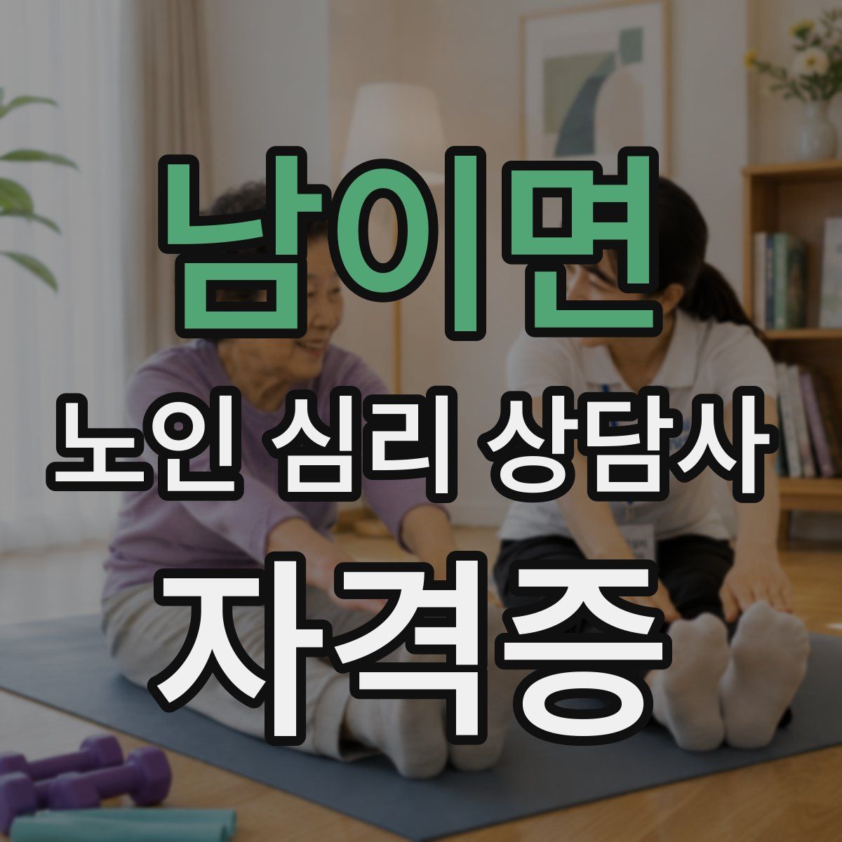 남이면 노인 심리 상담사 자격증