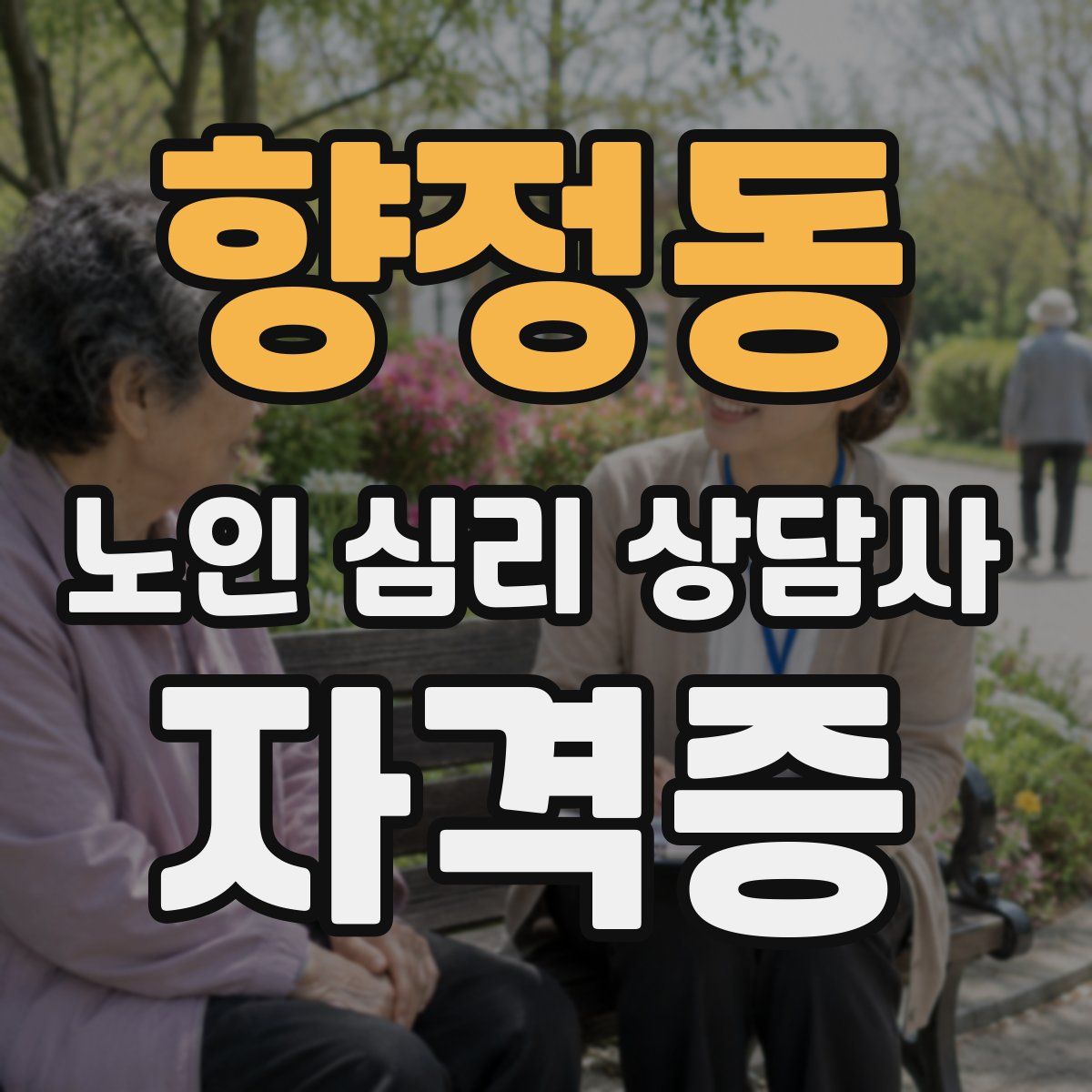 향정동 노인 심리 상담사 자격증