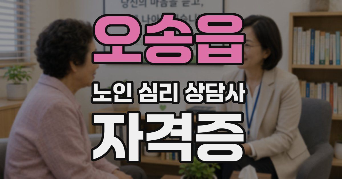 오송읍 노인 심리 상담사 자격증