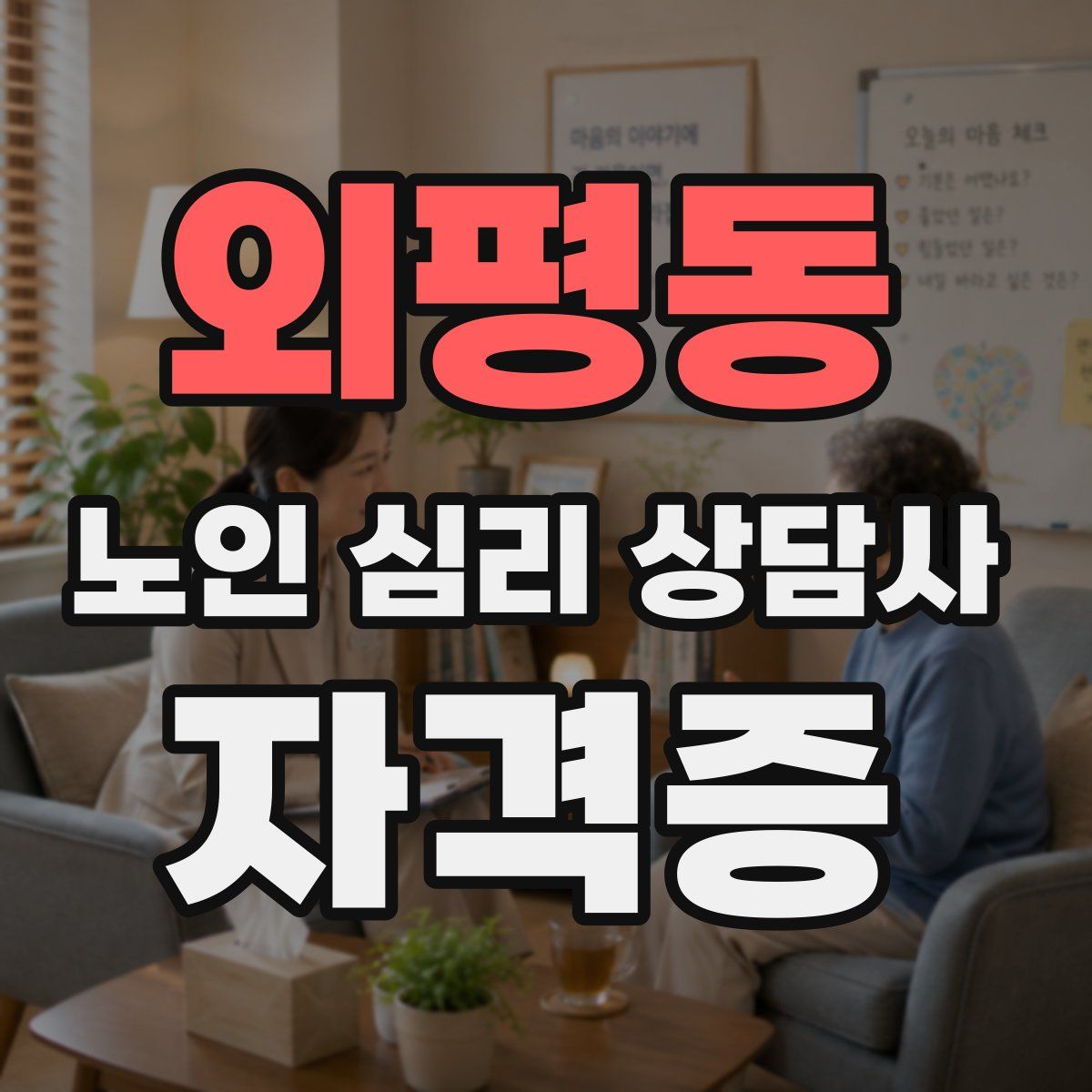 외평동 노인 심리 상담사 자격증