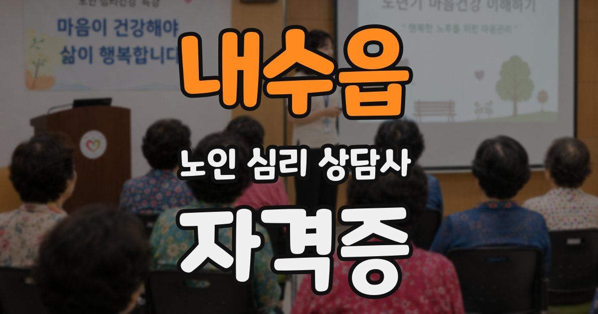 내수읍 노인 심리 상담사 자격증