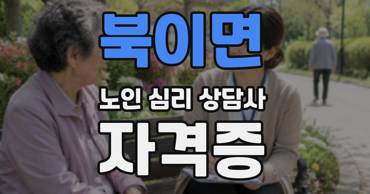 북이면 노인 심리 상담사 자격증