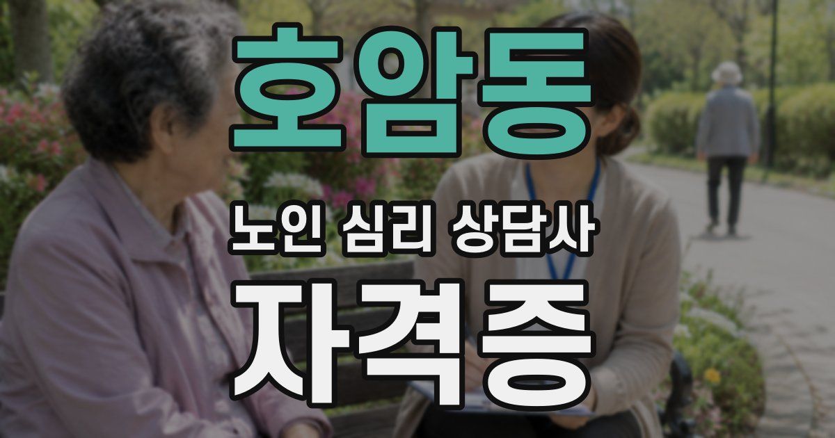 호암동 노인 심리 상담사 자격증