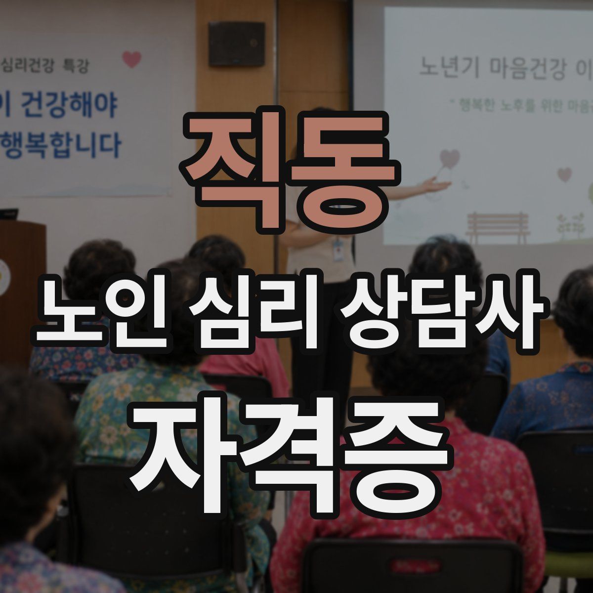 직동 노인 심리 상담사 자격증