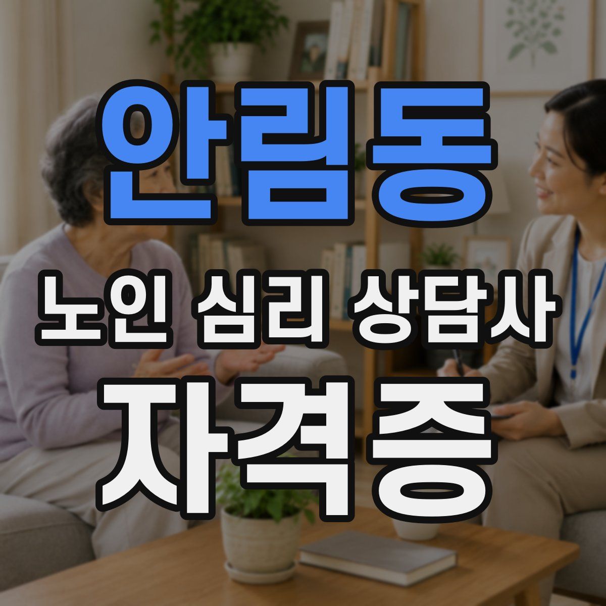 안림동 노인 심리 상담사 자격증