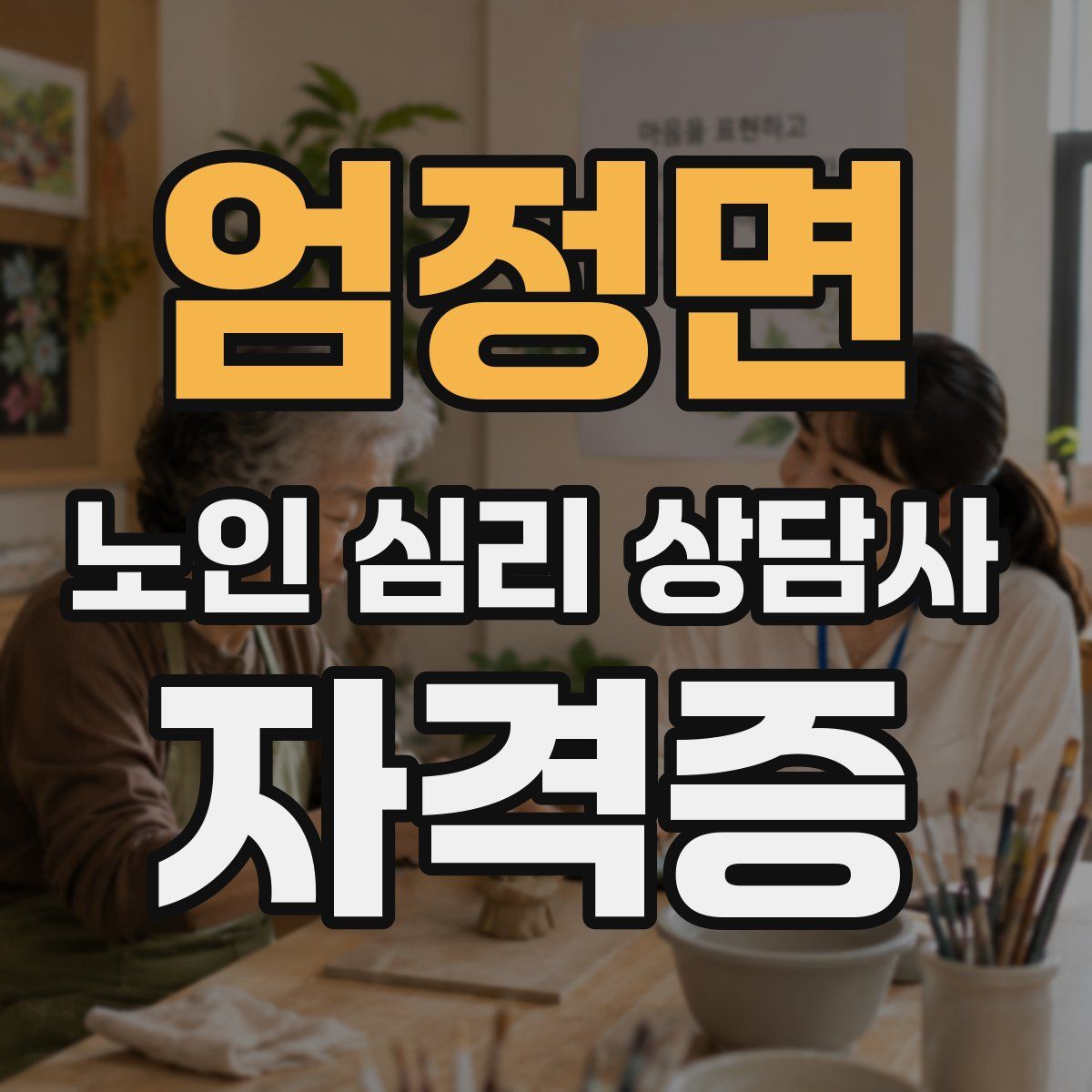 엄정면 노인 심리 상담사 자격증