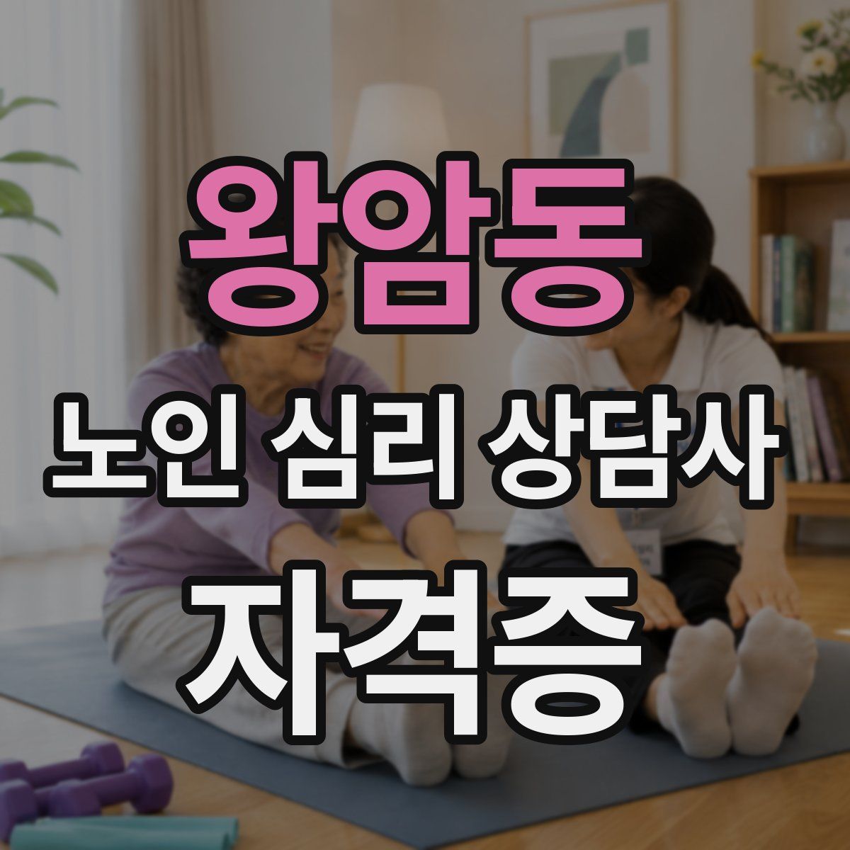 왕암동 노인 심리 상담사 자격증