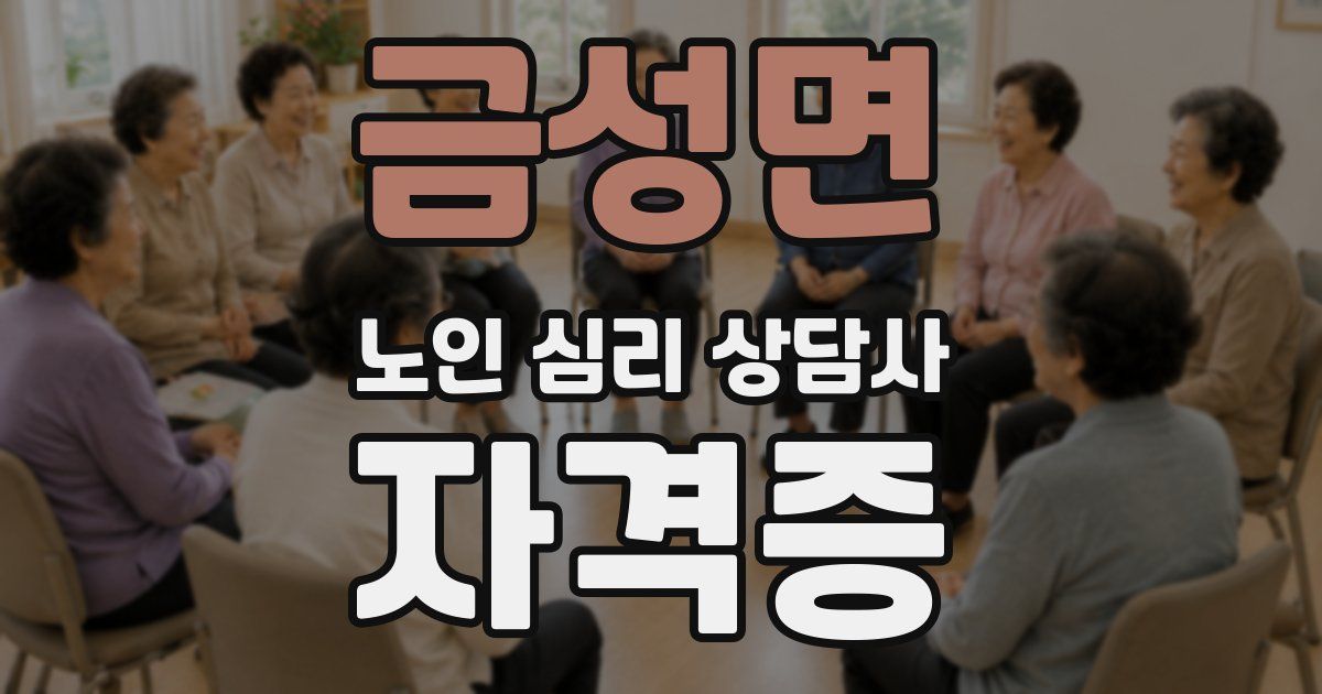 금성면 노인 심리 상담사 자격증
